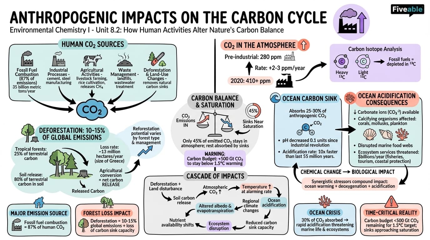 8.2 Anthropogenic Impacts on the Carbon Cycle - Environmental Chemistry I - Unit 8 visual cheatsheet