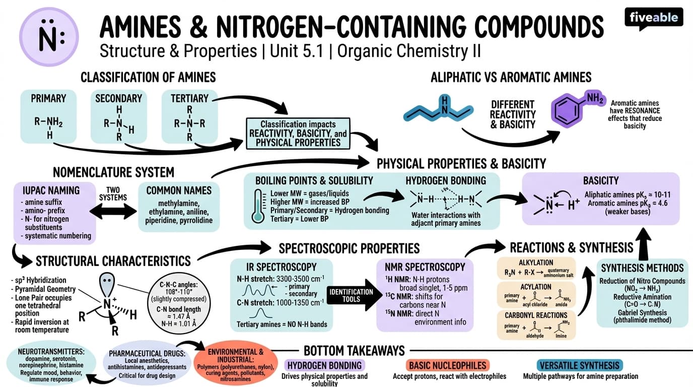 5.1 Structure and properties of amines - Organic Chemistry II - Unit 5 visual cheatsheet