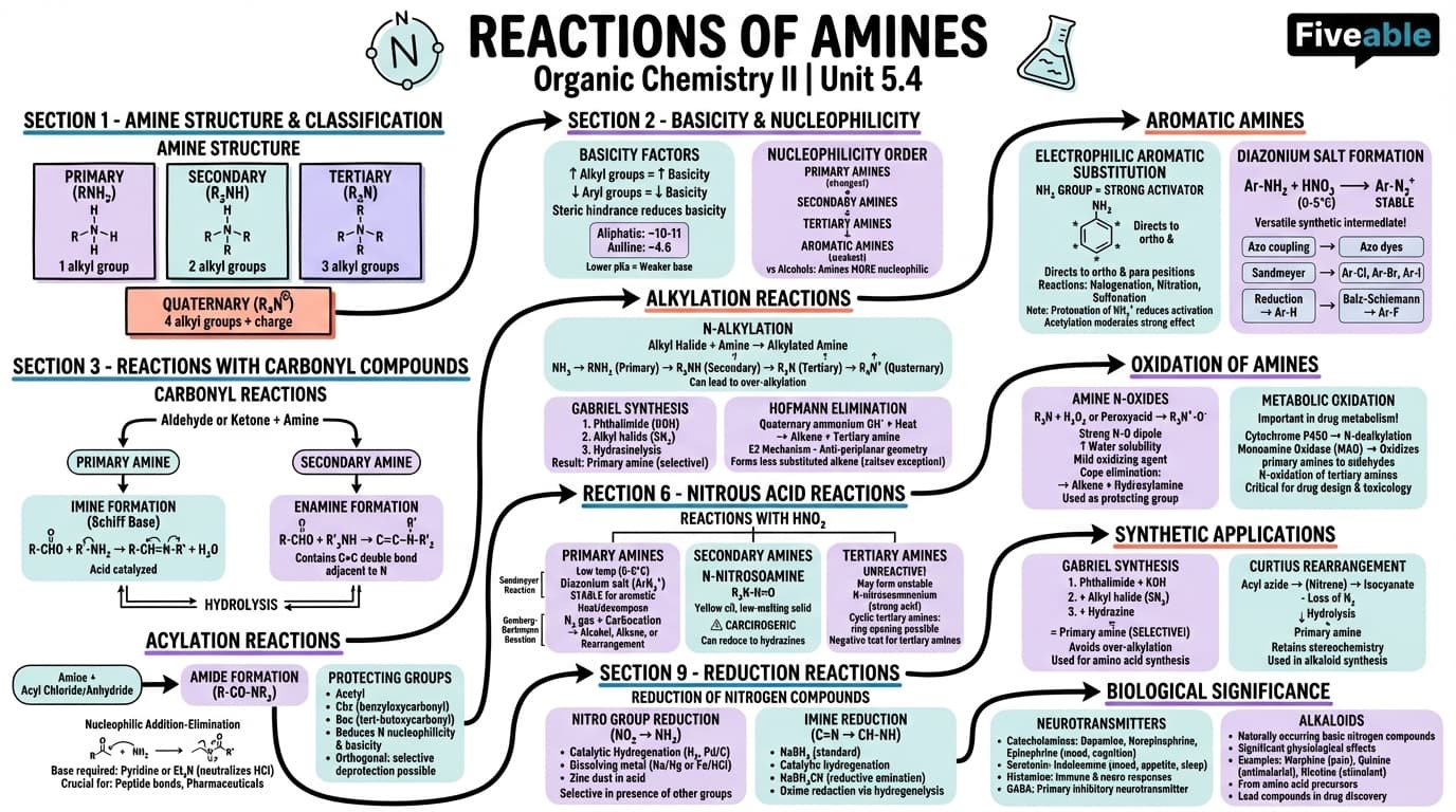 5.4 Reactions of amines - Organic Chemistry II - Unit 5 visual cheatsheet