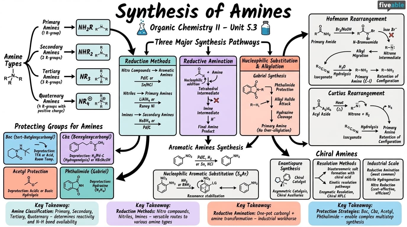 5.3 Synthesis of amines - Organic Chemistry II - Unit 5 visual cheatsheet
