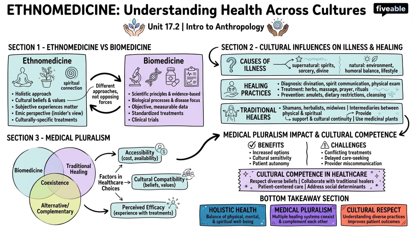 17.2 Ethnomedicine - Intro to Anthropology - Unit 17 visual cheatsheet