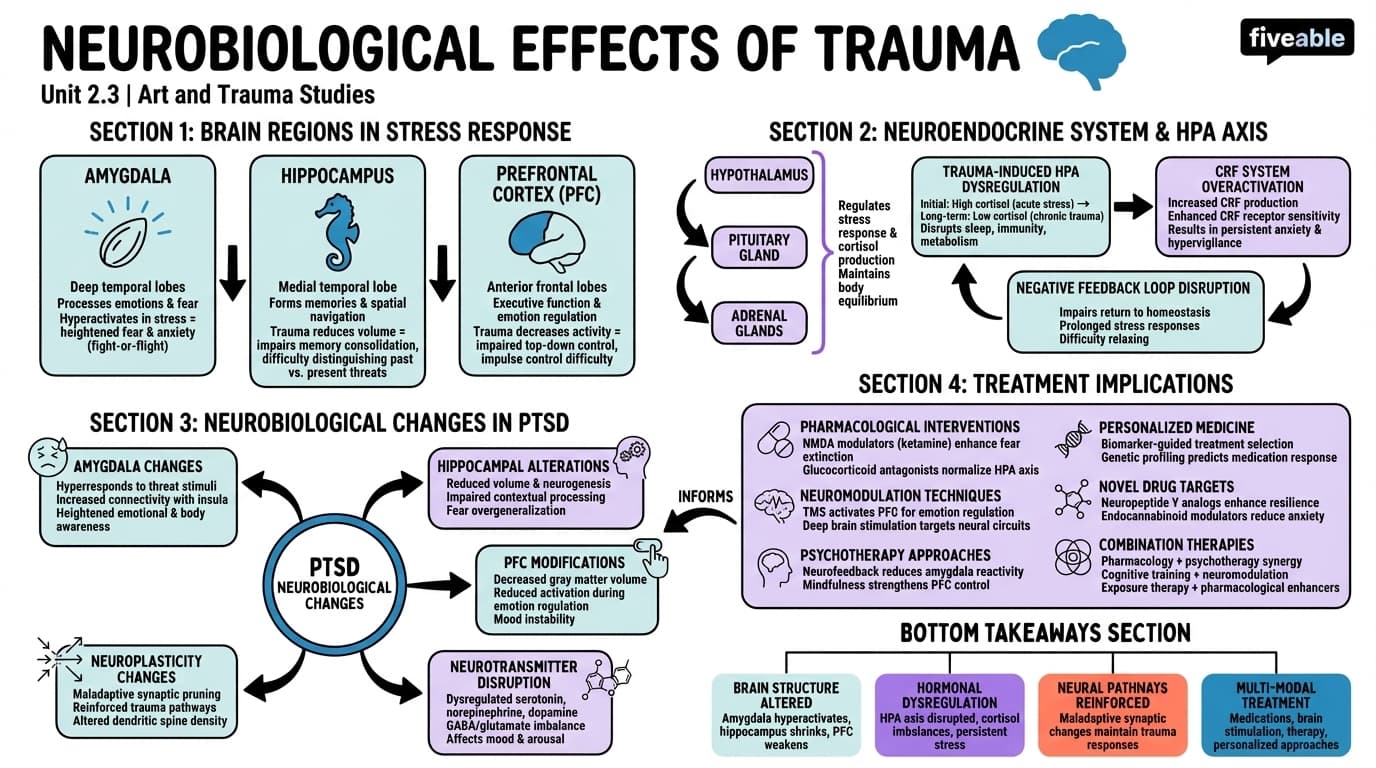 2.3 Neurobiological effects of trauma - Art and Trauma Studies - Unit 2 visual cheatsheet