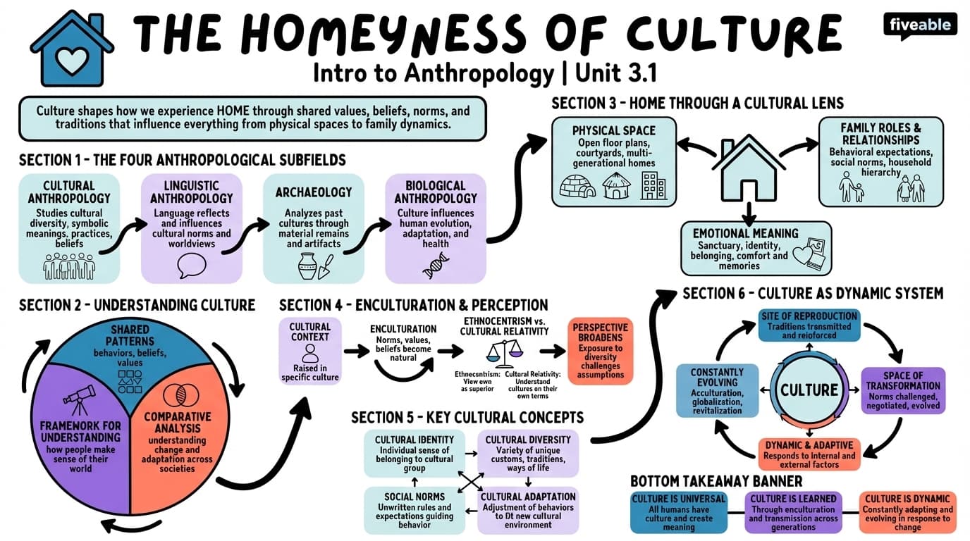 3.1 The Homeyness of Culture - Intro to Anthropology - Unit 3 visual cheatsheet