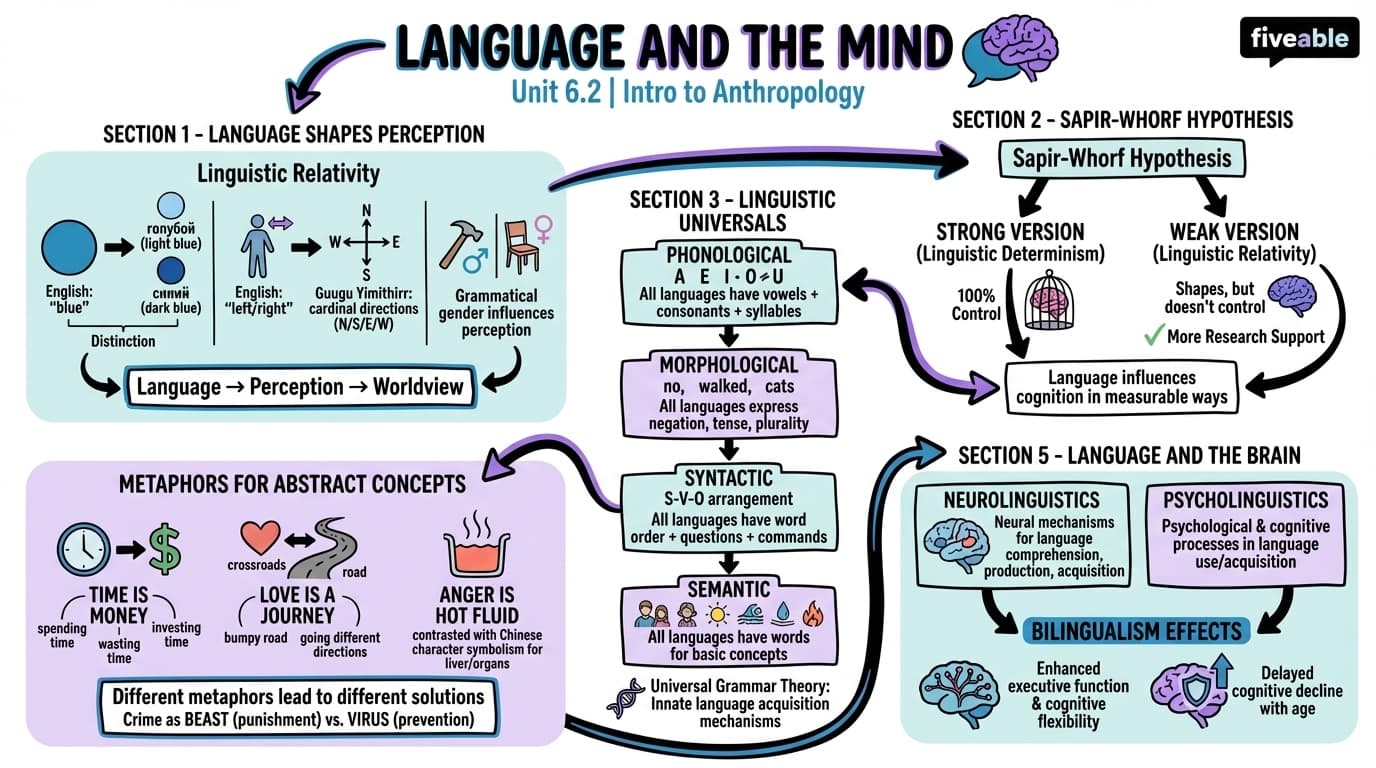 6.2 Language and the Mind - Intro to Anthropology - Unit 6 visual cheatsheet