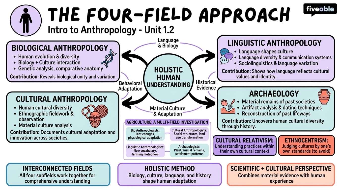 1.2 The Four-Field Approach: Four Approaches within the Guiding Narrative - Intro to Anthropology - Unit 1 visual cheatsheet
