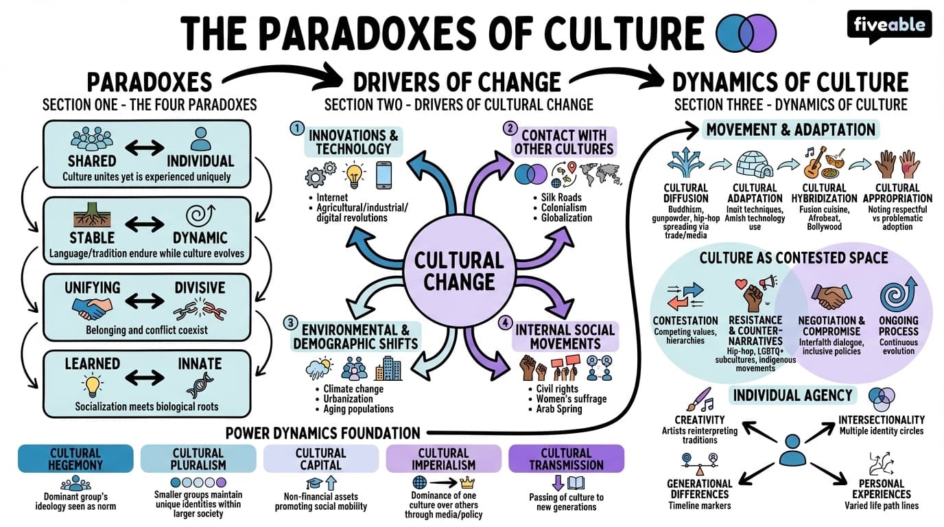 3.6 The Paradoxes of Culture - Intro to Anthropology - Unit 3 visual cheatsheet