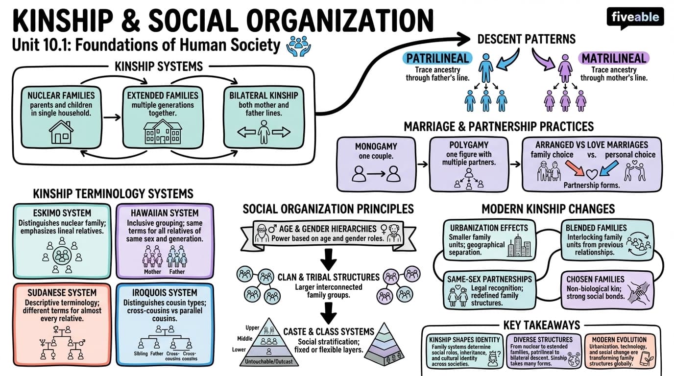 10.1 Kinship and social organization - Intro to Humanities - Unit 10 visual cheatsheet