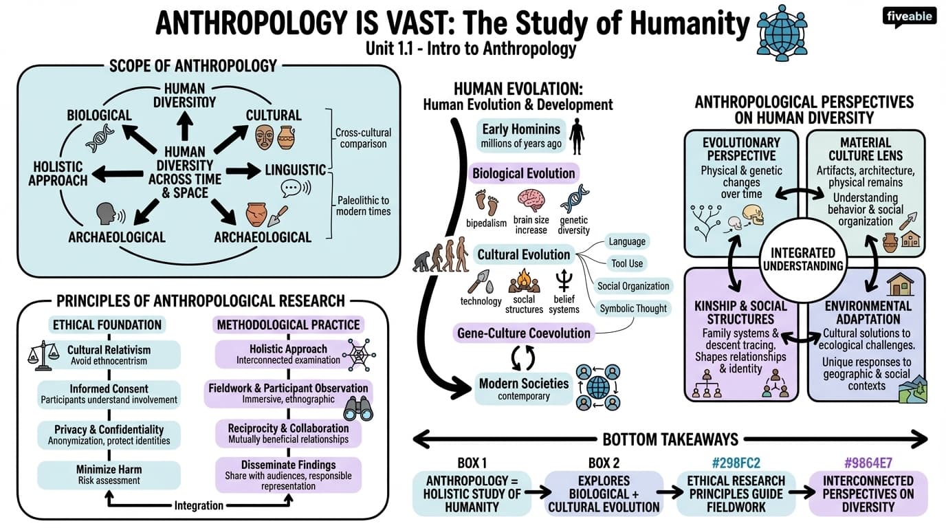 1.1 The Study of Humanity, or "Anthropology Is Vast" - Intro to Anthropology - Unit 1 visual cheatsheet