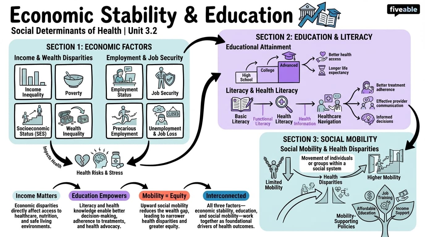 3.2 Economic Stability and Education - Public Health Social Sciences - Unit 3 visual cheatsheet