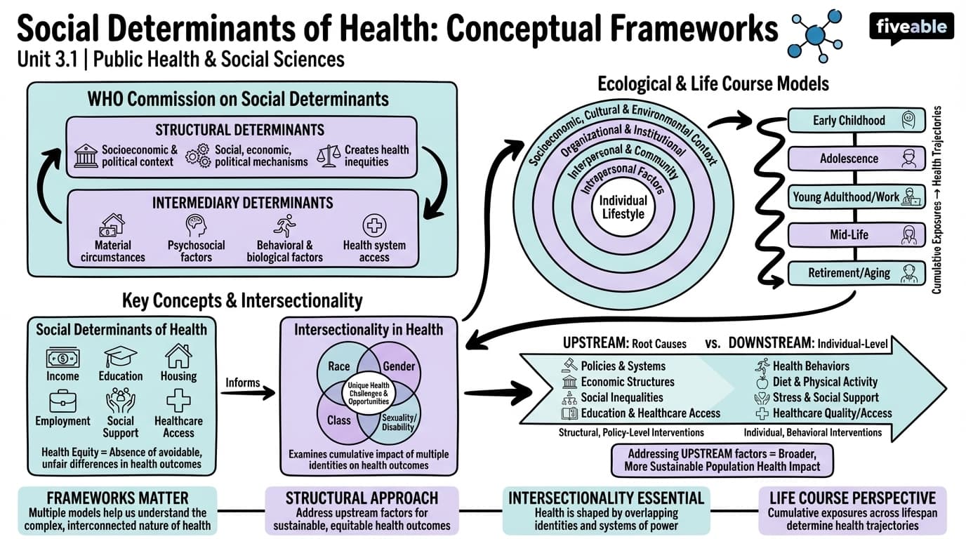3.1 Conceptual Frameworks for Social Determinants of Health - Public Health Social Sciences - Unit 3 visual cheatsheet