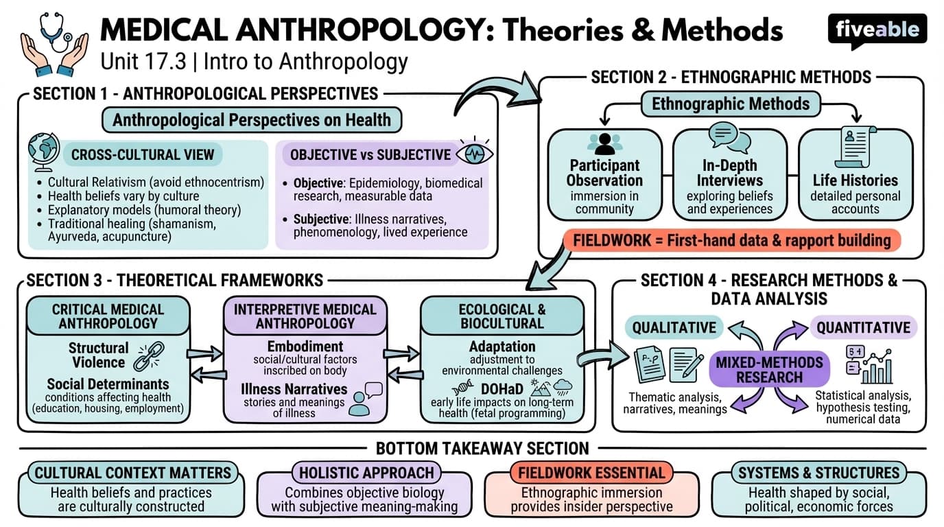 17.3 Theories and Methods - Intro to Anthropology - Unit 17 visual cheatsheet