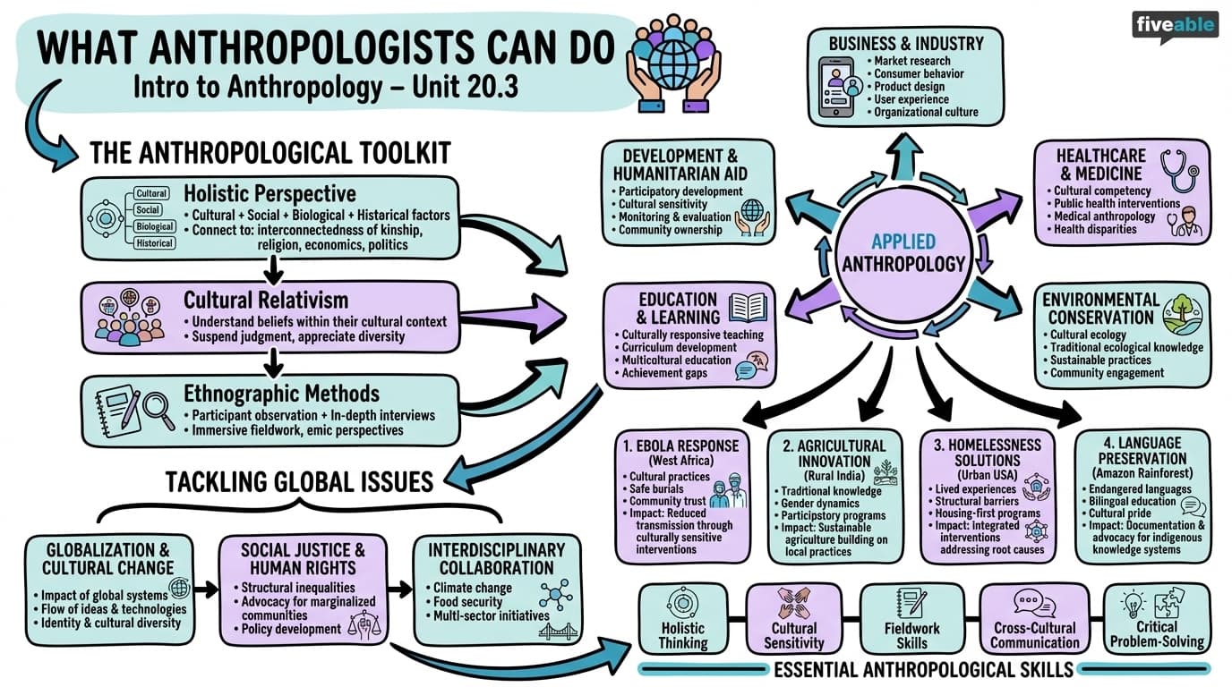20.3 What Anthropologists Can Do - Intro to Anthropology - Unit 20 visual cheatsheet