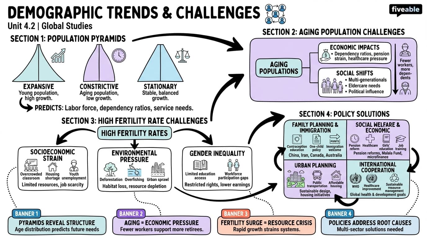 4.2 Demographic trends and challenges - Global Studies - Unit 4 visual cheatsheet