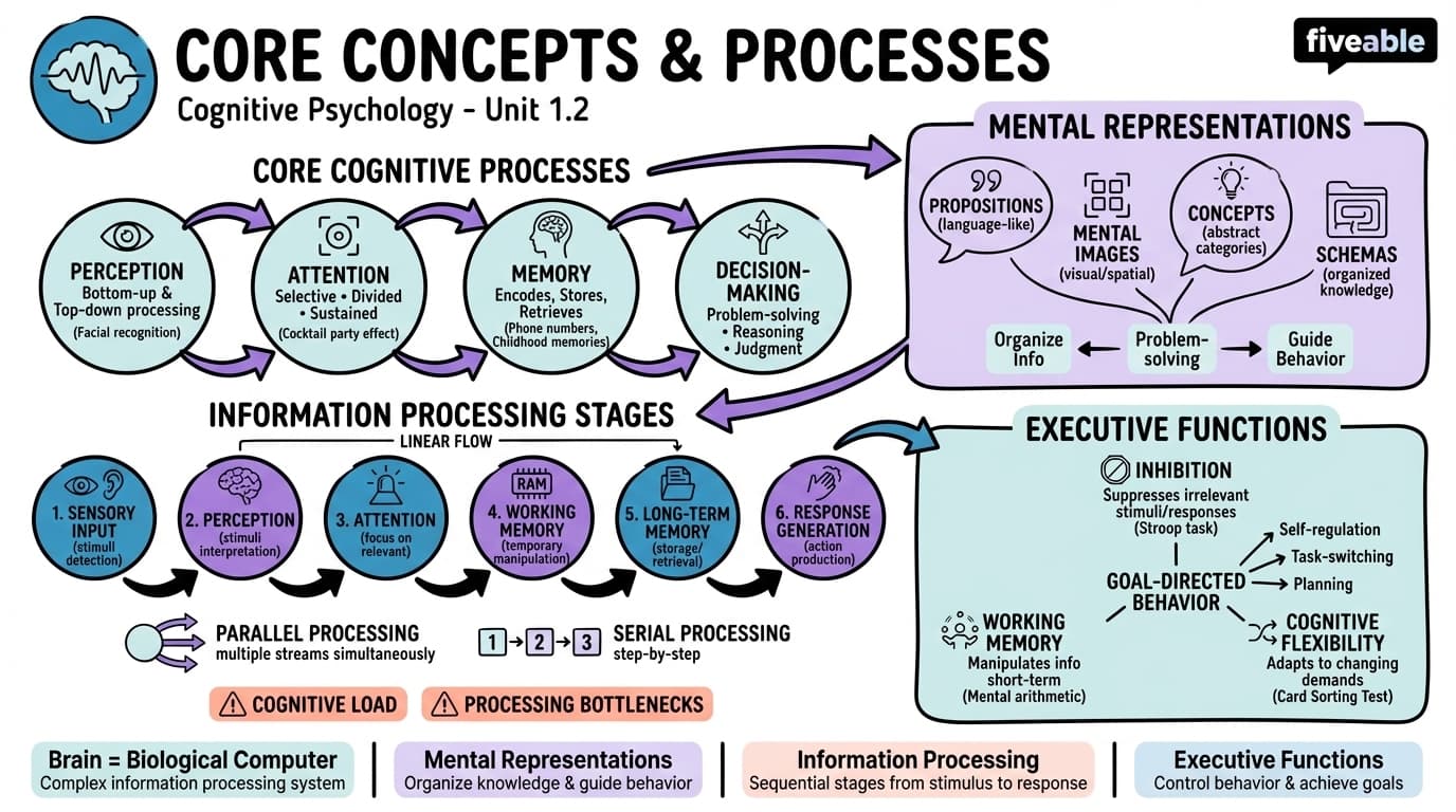 1.2 Core Concepts and Processes - Cognitive Psychology - Unit 1 visual cheatsheet