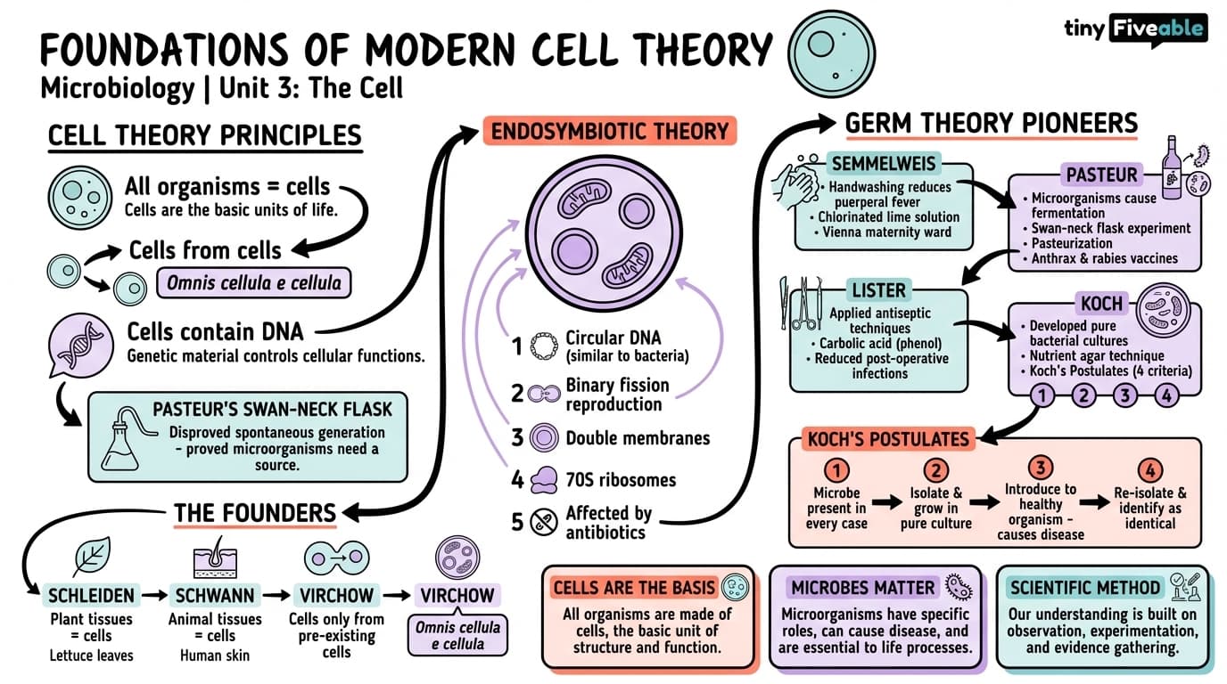 3.2 Foundations of Modern Cell Theory - Microbiology - Unit 3 visual cheatsheet