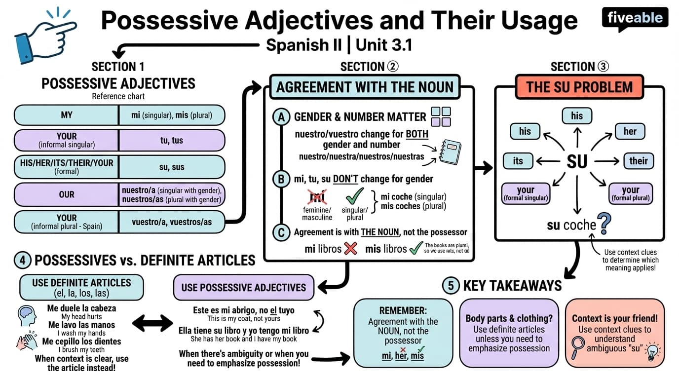 3.1 Possessive Adjectives and Their Usage - Spanish II - Unit 3 visual cheatsheet