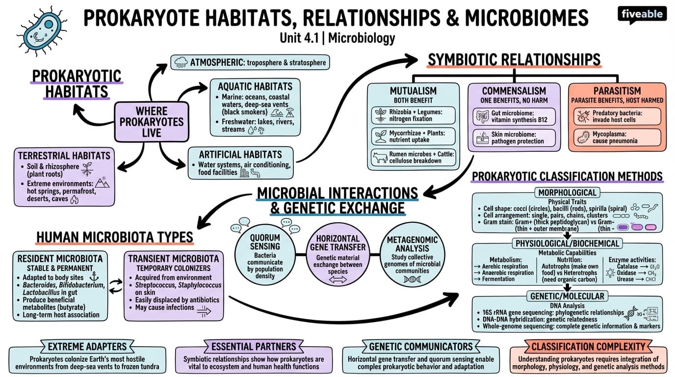 4.1 Prokaryote Habitats, Relationships, and Microbiomes - Microbiology - Unit 4 visual cheatsheet