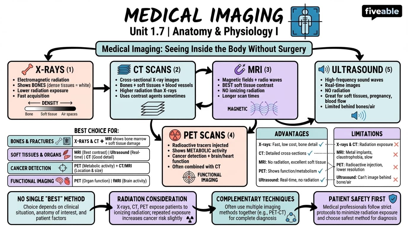 1.7 Medical Imaging - Anatomy and Physiology I - Unit 1 visual cheatsheet
