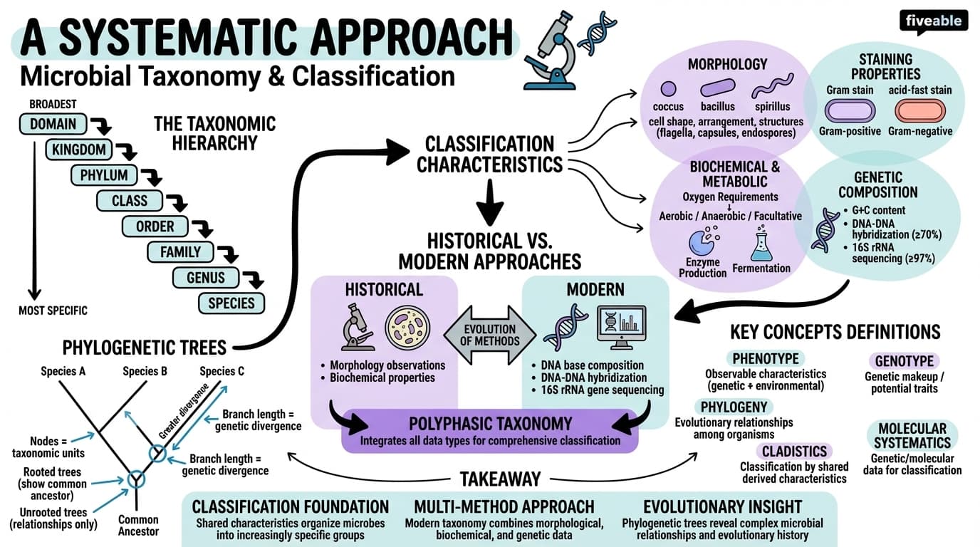 1.2 A Systematic Approach - Microbiology - Unit 1 visual cheatsheet