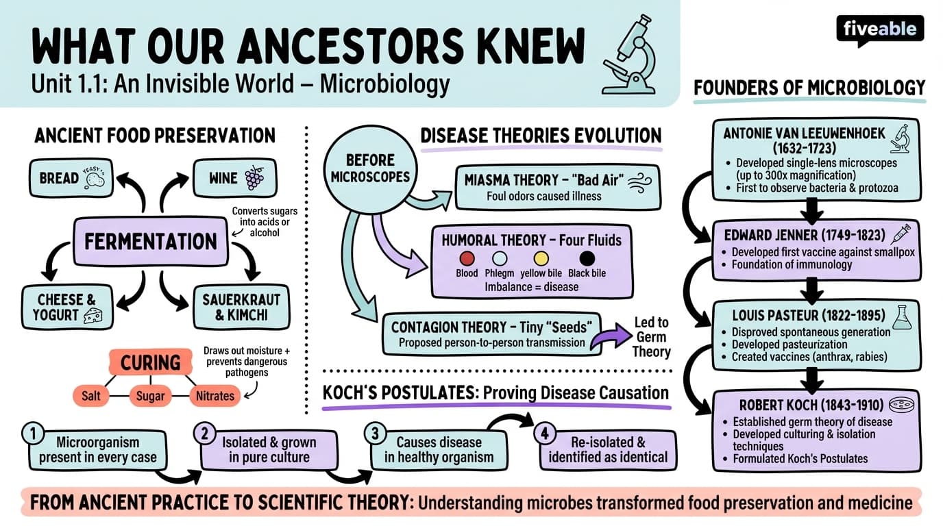 1.1 What Our Ancestors Knew - Microbiology - Unit 1 visual cheatsheet