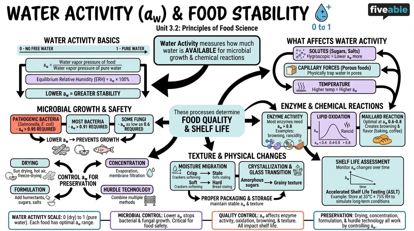 3.2 Water activity and its impact on food stability - Principles of Food Science - Unit 3 visual cheatsheet
