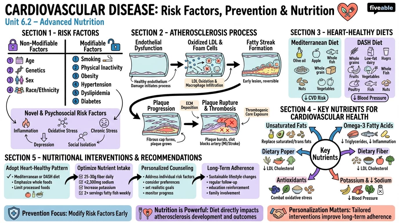 6.2 Cardiovascular diseases: Risk factors, prevention, and nutritional interventions - Advanced Nutrition - Unit 6 visual cheatsheet