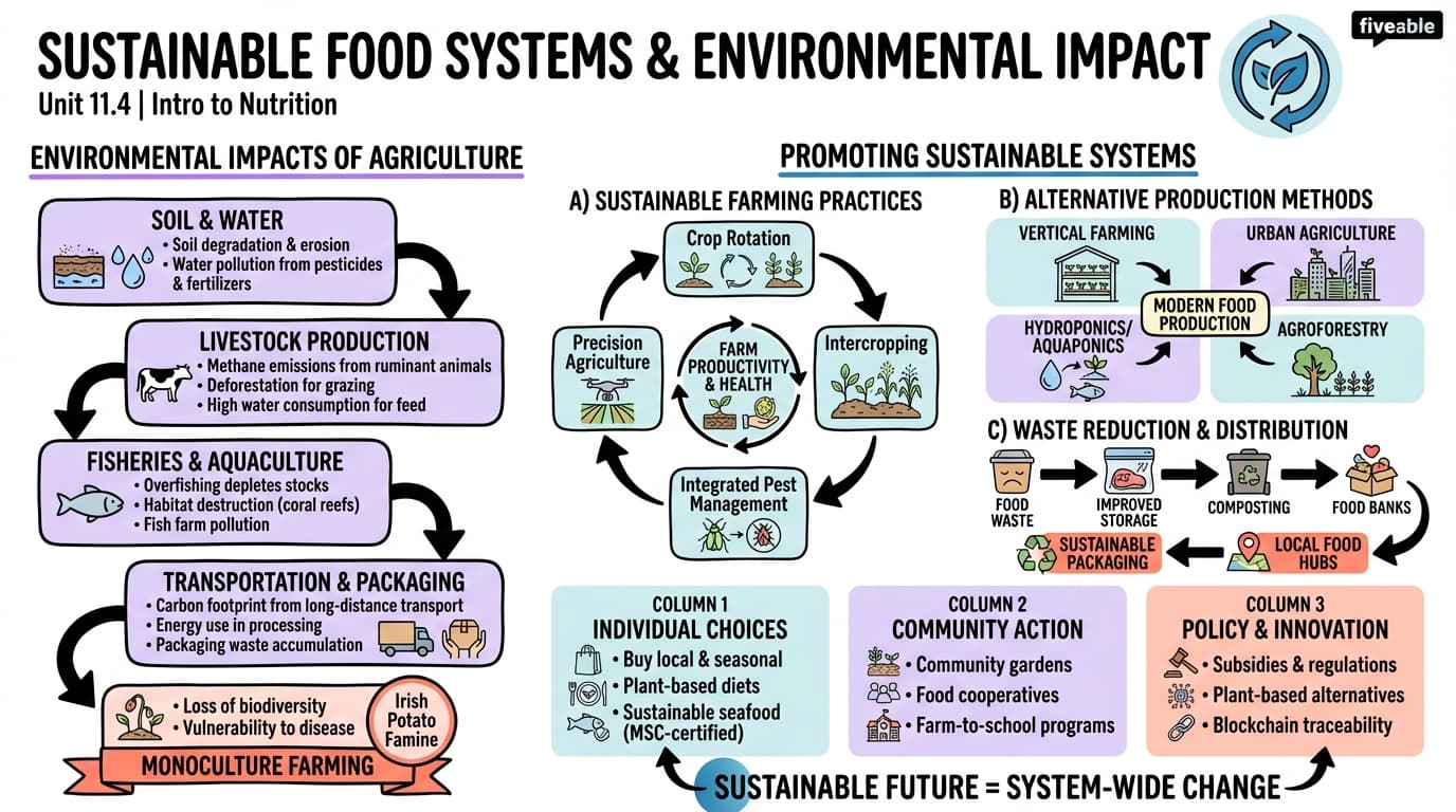 11.4 Sustainable Food Systems and Environmental Impact - Intro to Nutrition - Unit 11 visual cheatsheet