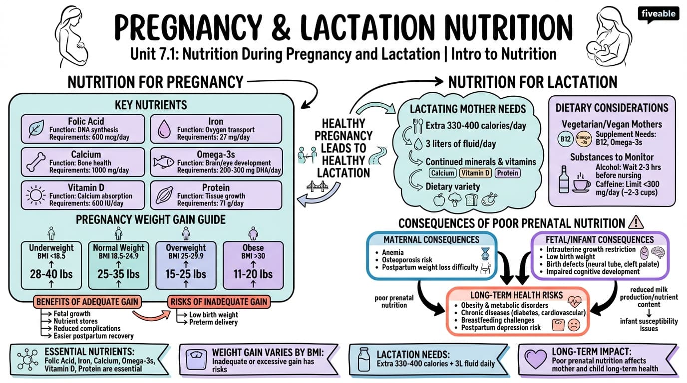 7.1 Nutrition During Pregnancy and Lactation - Intro to Nutrition - Unit 7 visual cheatsheet