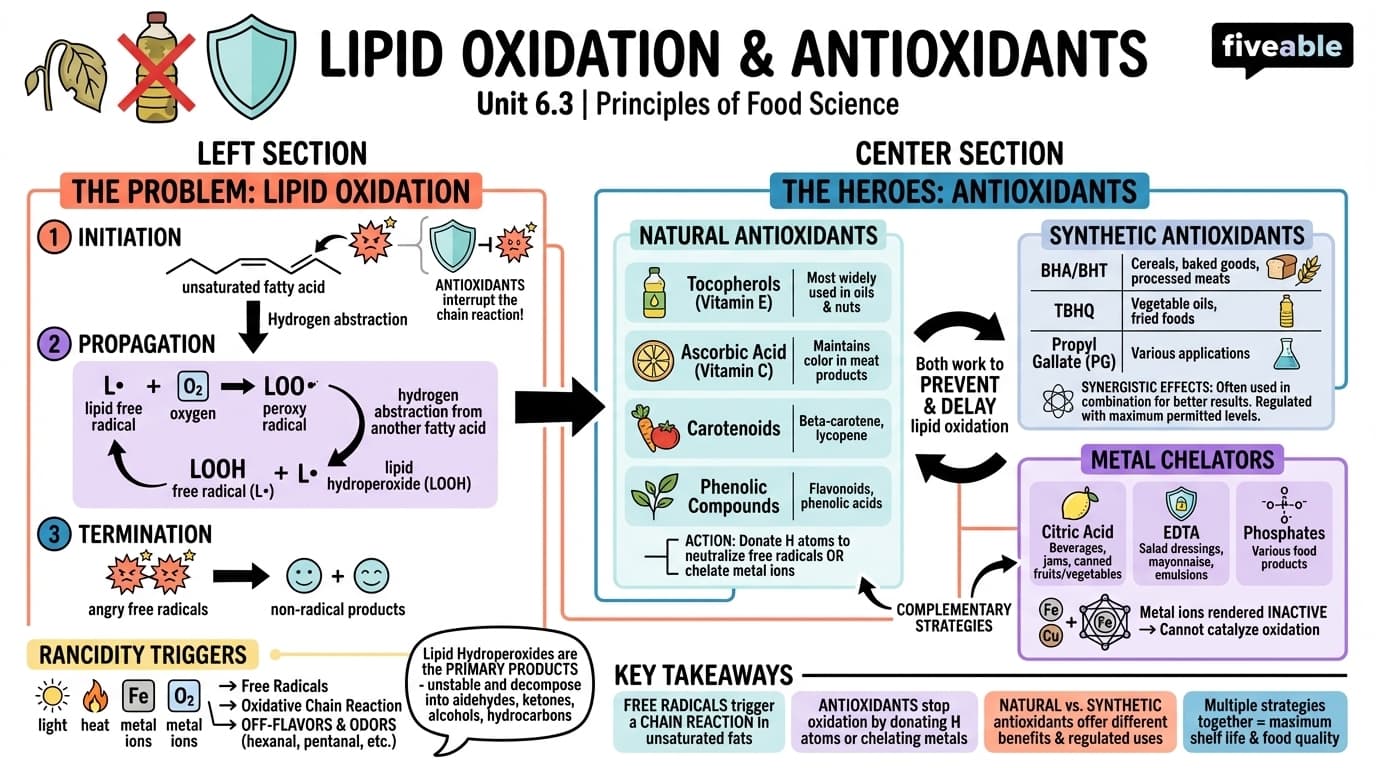 6.3 Lipid oxidation and antioxidants - Principles of Food Science - Unit 6 visual cheatsheet