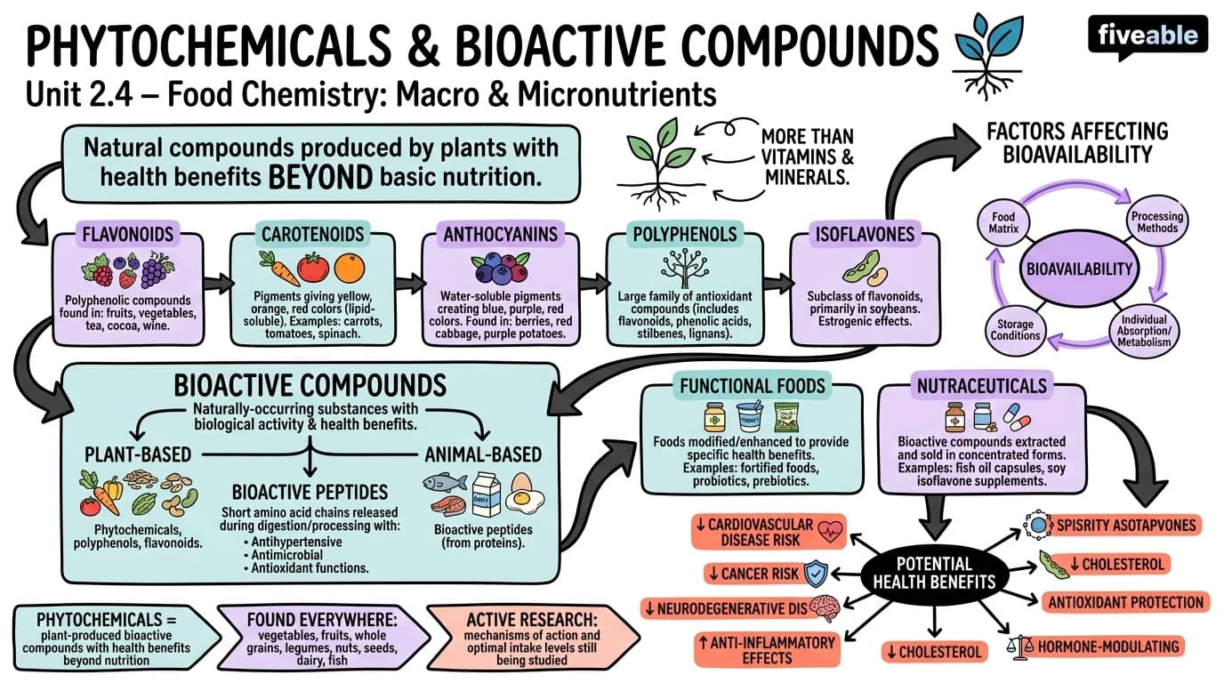 2.4 Phytochemicals and bioactive compounds - Principles of Food Science - Unit 2 visual cheatsheet