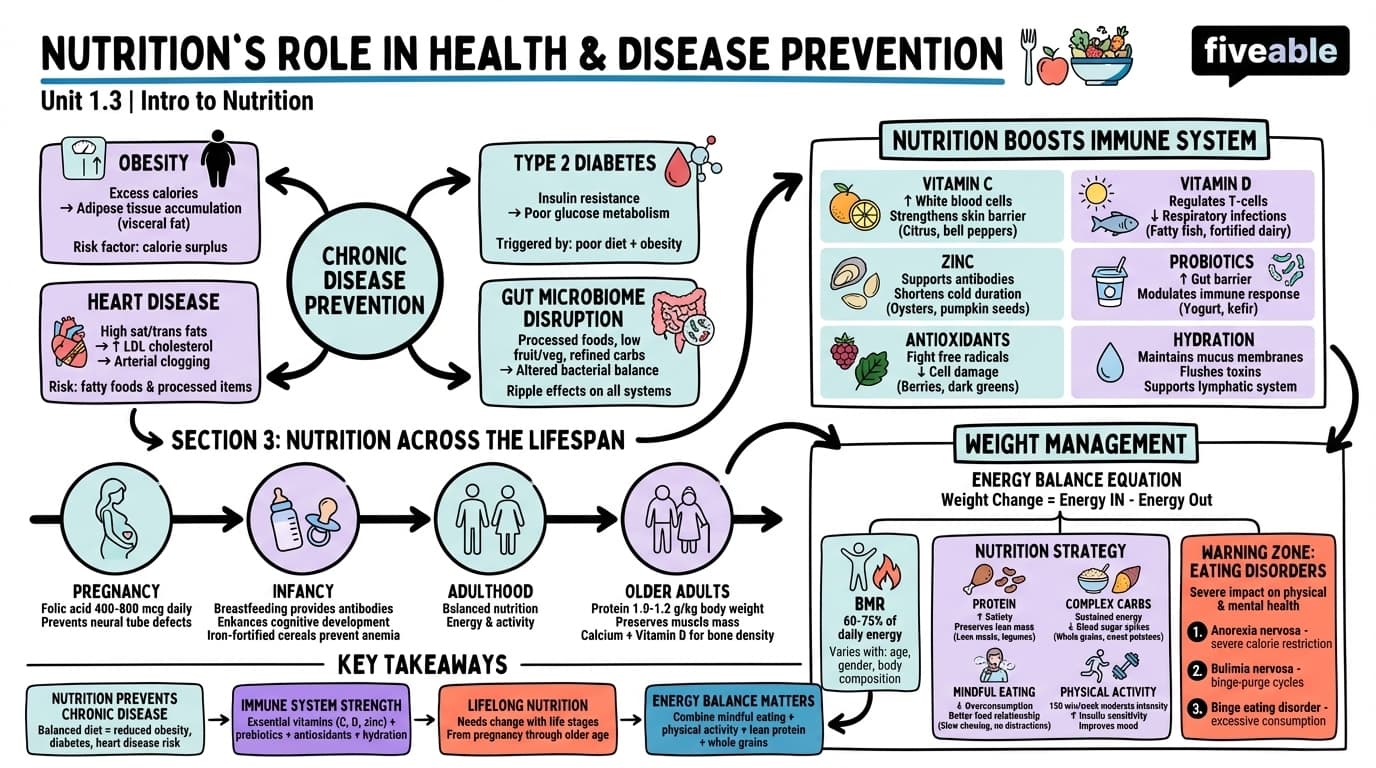 1.3 The Role of Nutrition in Health and Disease Prevention - Intro to Nutrition - Unit 1 visual cheatsheet