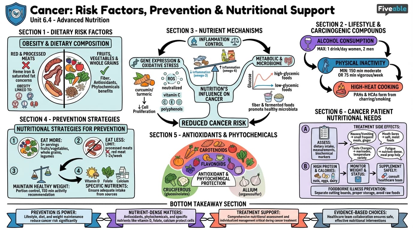 6.4 Cancer: Risk factors, prevention, and nutritional support during treatment - Advanced Nutrition - Unit 6 visual cheatsheet