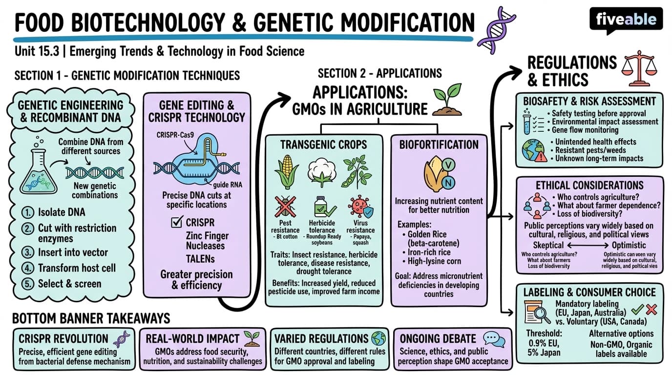 15.3 Food biotechnology and genetic modification - Principles of Food Science - Unit 15 visual cheatsheet
