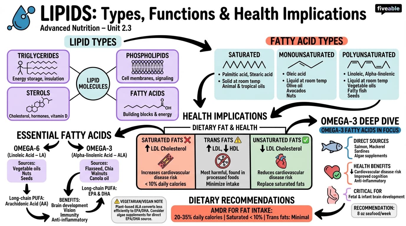 2.3 Lipids: Types, functions, and health implications - Advanced Nutrition - Unit 2 visual cheatsheet