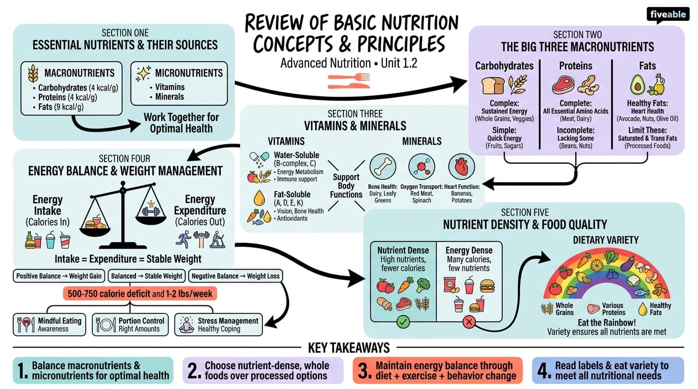 1.2 Review of basic nutrition concepts and principles - Advanced Nutrition - Unit 1 visual cheatsheet