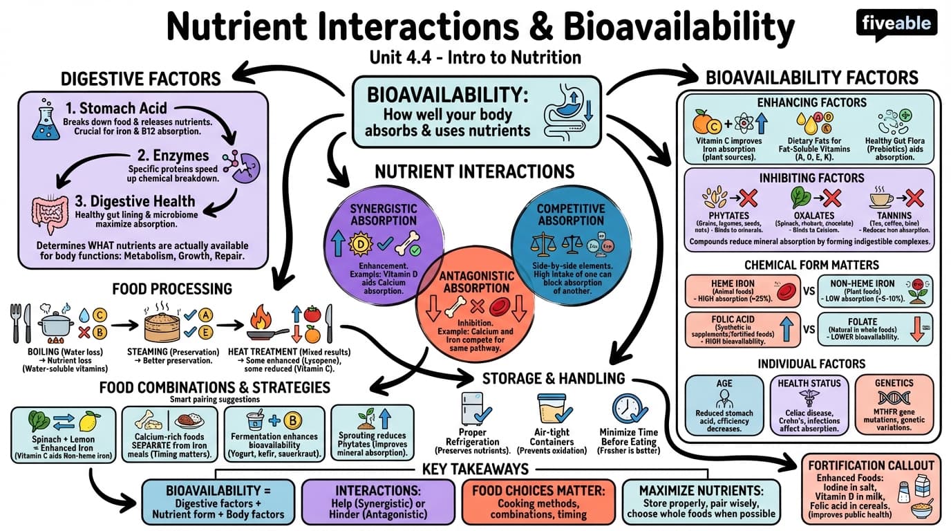 4.4 Nutrient Interactions and Bioavailability - Intro to Nutrition - Unit 4 visual cheatsheet