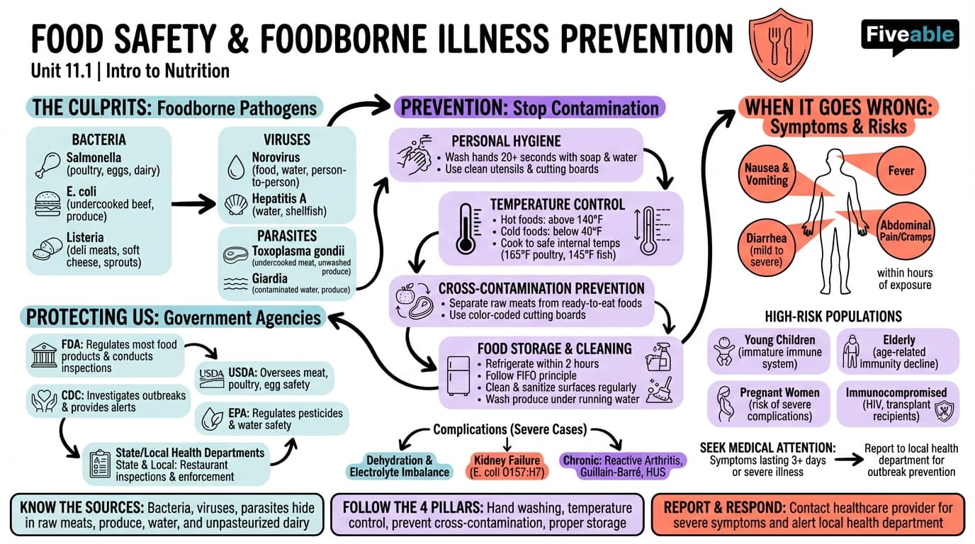 11.1 Food Safety and Foodborne Illness Prevention - Intro to Nutrition - Unit 11 visual cheatsheet