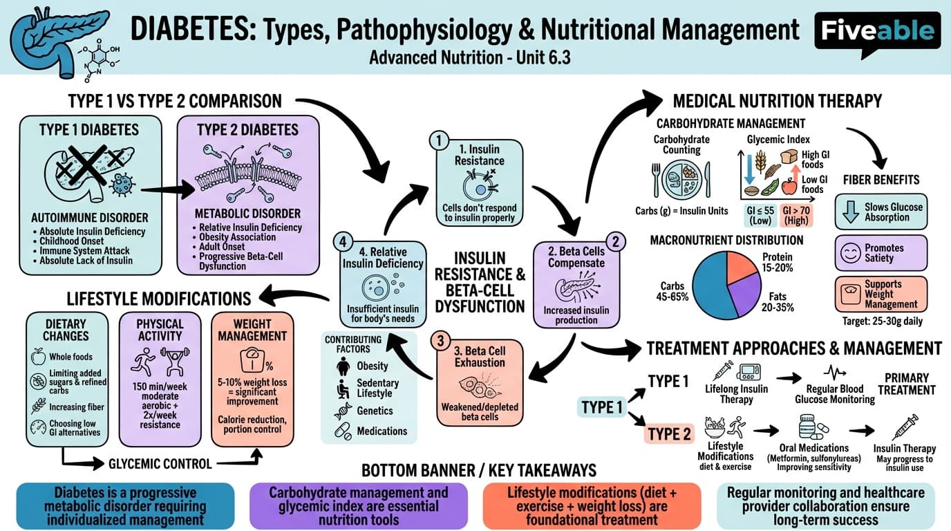 6.3 Diabetes: Types, pathophysiology, and nutritional management - Advanced Nutrition - Unit 6 visual cheatsheet