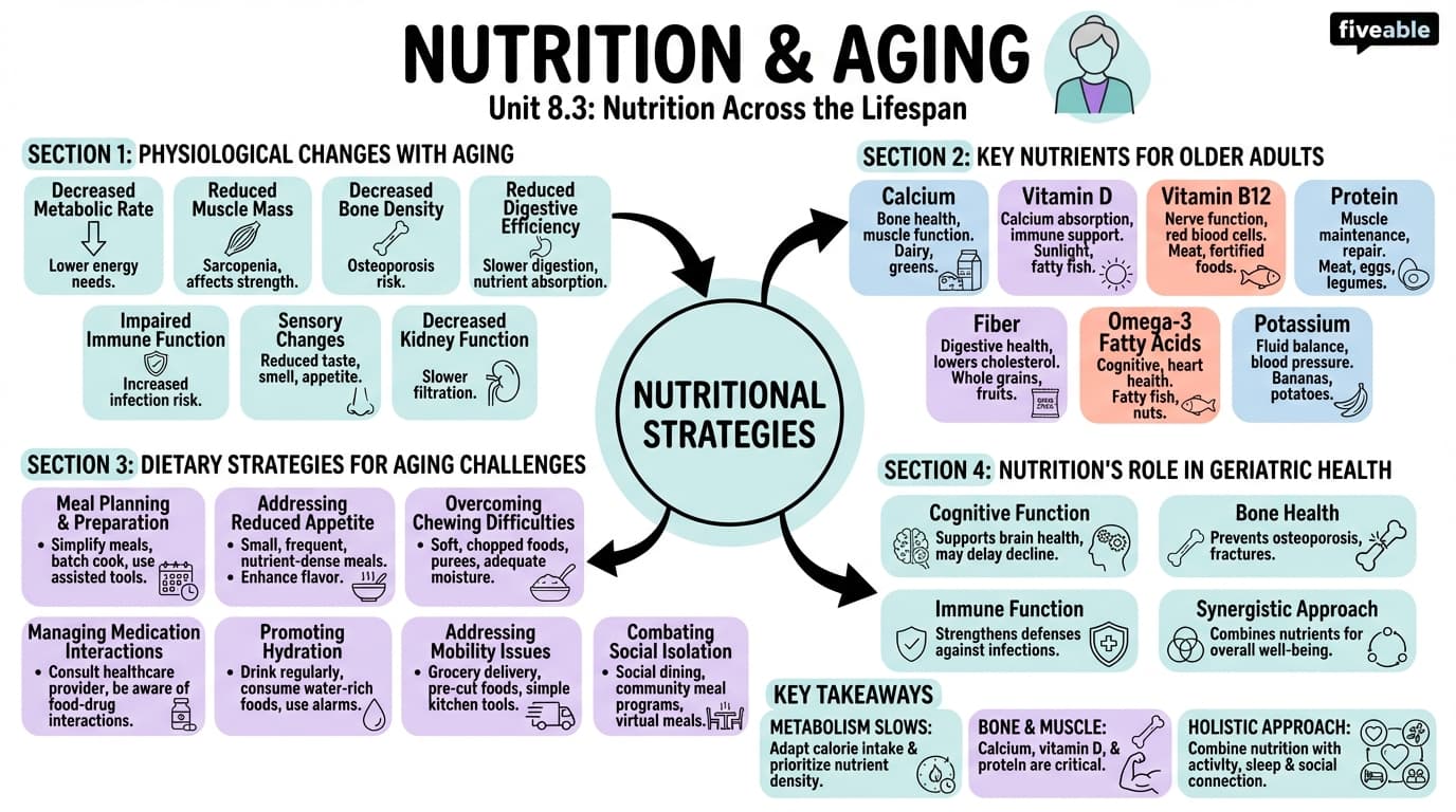 8.3 Nutrition and Aging - Intro to Nutrition - Unit 8 visual cheatsheet