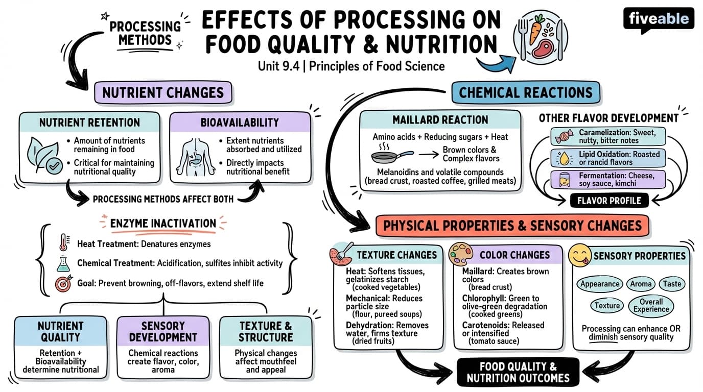9.4 Effects of processing on food quality and nutrition - Principles of Food Science - Unit 9 visual cheatsheet