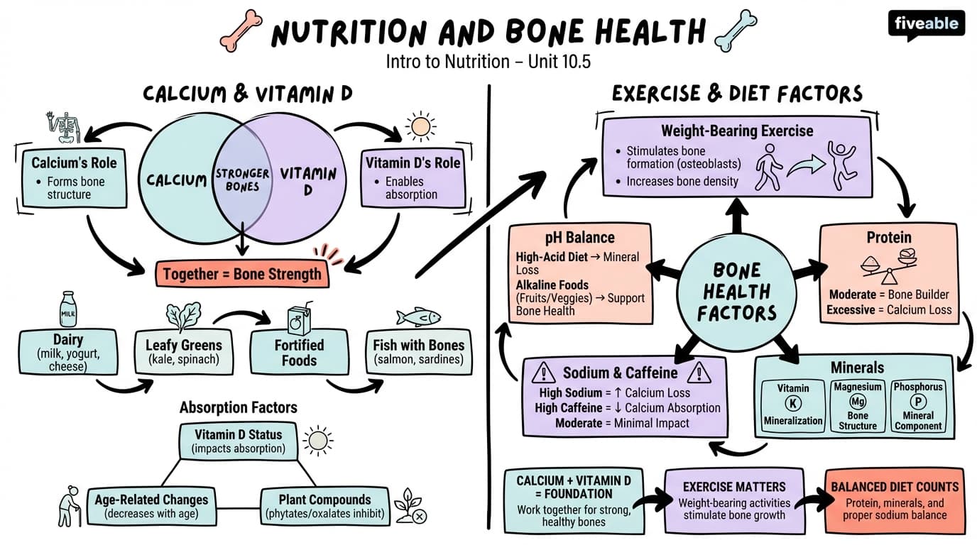 10.5 Nutrition and Bone Health - Intro to Nutrition - Unit 10 visual cheatsheet