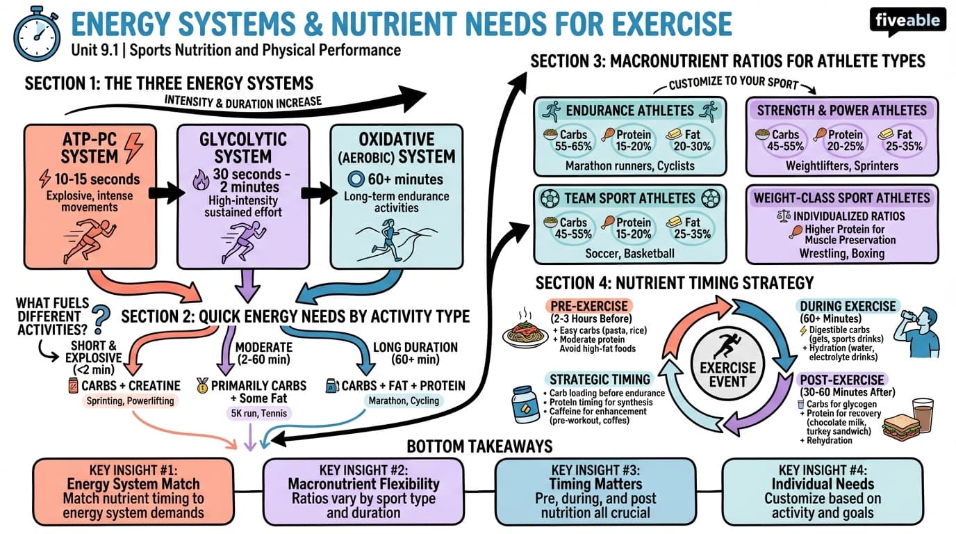 9.1 Energy Systems and Nutrient Needs for Exercise - Intro to Nutrition - Unit 9 visual cheatsheet