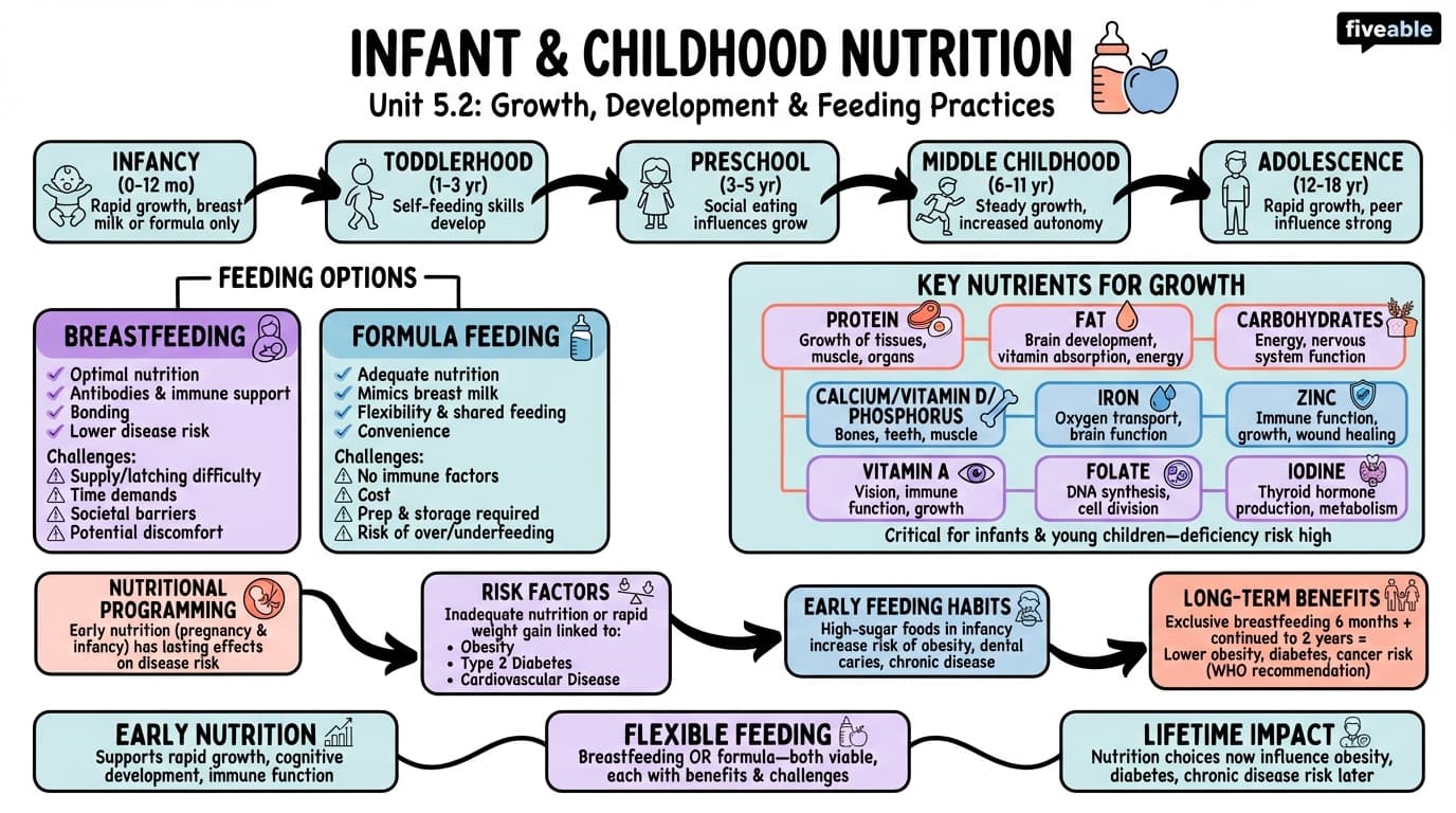 5.2 Infant and childhood nutrition: Growth, development, and feeding practices - Advanced Nutrition - Unit 5 visual cheatsheet