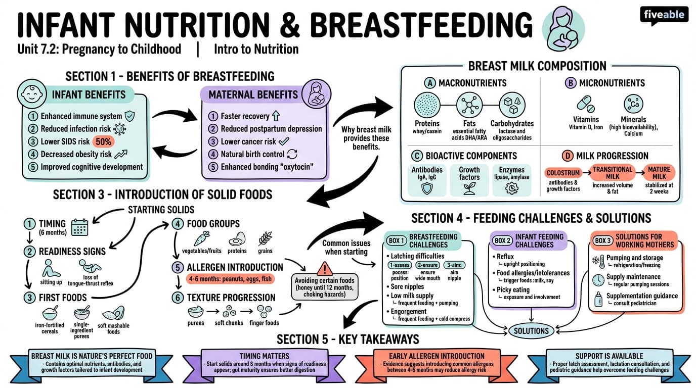 7.2 Infant Nutrition and Breastfeeding - Intro to Nutrition - Unit 7 visual cheatsheet
