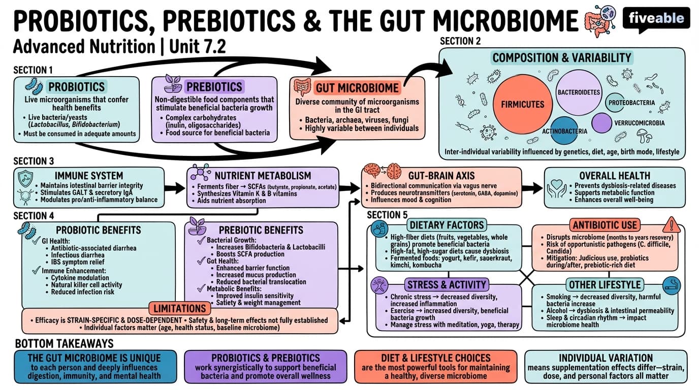 7.2 Probiotics, prebiotics, and the gut microbiome - Advanced Nutrition - Unit 7 visual cheatsheet