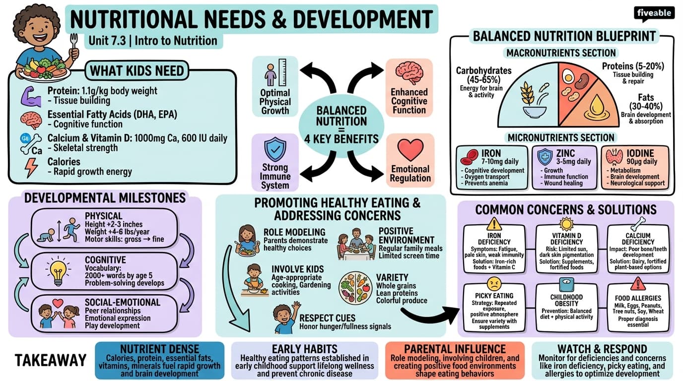 7.3 Nutrition in Early Childhood - Intro to Nutrition - Unit 7 visual cheatsheet