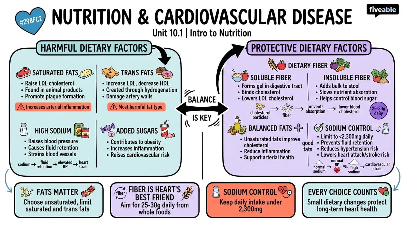 10.1 Nutrition and Cardiovascular Disease - Intro to Nutrition - Unit 10 visual cheatsheet
