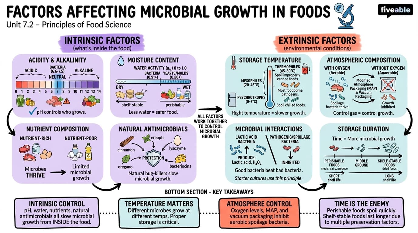 7.2 Factors affecting microbial growth in foods - Principles of Food Science - Unit 7 visual cheatsheet
