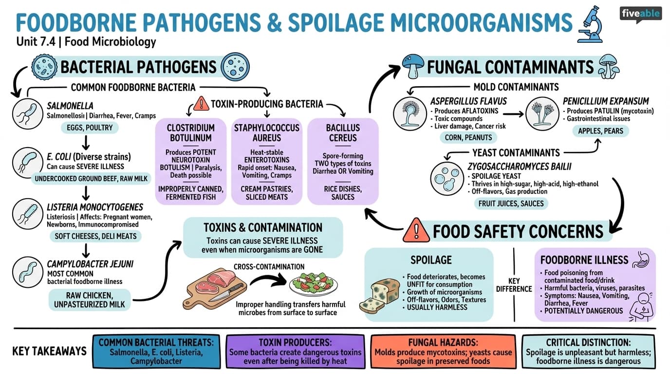 7.4 Foodborne pathogens and spoilage microorganisms - Principles of Food Science - Unit 7 visual cheatsheet