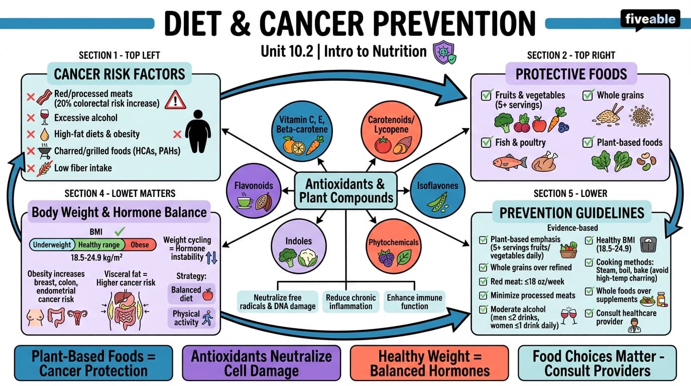 10.2 Diet and Cancer Prevention - Intro to Nutrition - Unit 10 visual cheatsheet